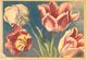 Delcampe - Lot 200- Thème - Fleur Plante -  Environ 120 Cartes - 100 - 499 Postcards