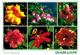 Delcampe - Lot 200- Thème - Fleur Plante -  Environ 120 Cartes - 100 - 499 Cartoline