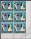 Ross, N° 37 X 10 Dont Bloc De 6, Manchot Adélie Neuf ** - Unused Stamps