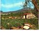 Delcampe - Lot 225- Thème -   Région Provence Côte D'Azur  - Environ  170 Cartes (800 Gr) - 100 - 499 Postcards