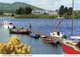 The River Shannon At Killaloe, Clare - Lot. 3051 - Clare