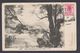 1905. New Zealand.  POST CARD. Lake Manapouri From Fairy Cove. MASTERTON 24 JA 05. To... (MICHEL 100) - JF323564 - Covers & Documents