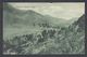 1908. New Zealand.  POST CARD. Looking Up Wairau Gorge, Nelson. To Cape Town, South A... (MICHEL 100) - JF323567 - Brieven En Documenten