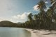 PALMS FRINGE ONE OF ANTIGUA S MANY FINE BEACHES - Antigua E Barbuda