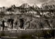 Am Walensee Mit Walenstadtberg & Churfirsten (24373) * 25. 7. 1955 - Walenstadt