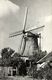 Nederland, TERSCHELLING, Molen Te Formerum (1950s) Ansichtkaart - Terschelling