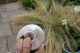 Delcampe - Gros Coquillage D'AFRIQUE - Coquillages