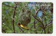 NAMIBIE REF MV CARDS NMB-87 N$20 OISEAU MASKED WEAVER DATE 1999 - Namibia