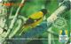 Sri Lanka - Lanka Pay Phones (GPT) - Black-Headed Oriole - 28SRLC (Letter B), 100Rs, Used - Sri Lanka (Ceylon)