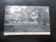 Townley House School (Cricket)_RAMSGATE (Lower Lawn)_en 1906 - Ramsgate
