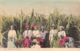 Jamaica - Sugar Cane Cutters - Publ. A. Duperly & Sons9 - Jamaica