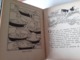 M#0W56 "Piccoli Libri Giganti" : I NOSTRI AMICI Salani Ed.1941/CANI/DOGS - Antichi