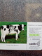 ESPAGNE CAFE COLOMBIA COW VACHE 1000 PTAS UT - Cows