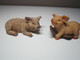 2 COCHONS Pour Collection. - Cochons