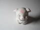 ANCIEN COCHON Porcelaine Pour Collection. - Pigs