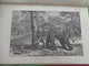 Delcampe - Livre-recompense-college De Cette-l'afrique Equatoriale Sir S. White Baker -1890-37 Gravures + Carted'ismailia - Autres & Non Classés