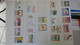 Delcampe - C91 Très Belle Collection Timbres Et Blocs ** D'Algérie, Bénion Et Burkina Fasso Dont Bonnes Petites Valeurs !!! - Collections (en Albums)