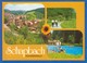 Deutschland; Bad Rippoldsau-Schapbach; Schapbach; Multibildkarte - Bad Rippoldsau - Schapbach