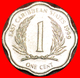 · SCALLOPED (1981-2001): EAST CARIBBEAN TERRITORIES ★ 1 CENT 1999! LOW START ★ NO RESERVE! - East Caribbean States