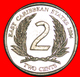 · ROUND (2002-2011): EAST CARIBBEAN TERRITORIES ★ 2 CENTS 2004 MINT LUSTER! LOW START ★ NO RESERVE! - Caraibi Orientali (Stati Dei)