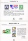 USA Lot Of 20 Souvenir Cards National And International Stamp Exhibitions - Souvenirkaarten