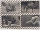 3AD1099 Zoo PARC ZOOLOGIQUE DU BOIS DE VINCENNES Lot De 16 Cartes 8  SCANS - Vincennes