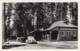 Kings Canyon National Park California, Grant Grove Village, C1940s Vintage Real Photo Postcard - Kings Canyon