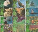 Turkey, TR-TT-N-0170 - 0181, Set Of 12 Cards,  June 5th 2001 - World Environment Day, Eagle, Seal, Birds, Flow, 2 Scans, - Turchia