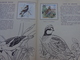 Delcampe - Lot De 2 L'encyclopedie Par Le Timbre -les Voyages De Gulliner N°13 Les Oiseaux N°8 - Altri & Non Classificati