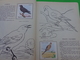 Delcampe - Lot De 2 L'encyclopedie Par Le Timbre -les Voyages De Gulliner N°13 Les Oiseaux N°8 - Other & Unclassified