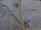 Delcampe - Lot De 2 L'encyclopedie Par Le Timbre -les Voyages De Gulliner N°13 Les Oiseaux N°8 - Other & Unclassified