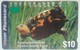 $10 Endangered Species Western Swamp Turtle - Australia