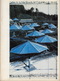 Christo: The Umbrellas (Joint Project For Japan And USA) Signed. PB Free UK P+p! - Architecture