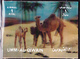 Delcampe - Umm Al-Qaiwain - Tiere (MiNr: 1599/613) 1972 - Postfrisch MNH   !!! Marken Mit 3d - Effekt - Umm Al-Qaiwain