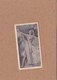 Chromo Cigarettes Godfrey Phillips N°8 Betty Olds Beauties Of To-Day - Phillips / BDV