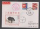 2006 Rep.Of CHINA - FDC -New Year’s Greeting Postage Stamps - Cartas & Documentos