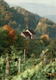 Blick Auf "Hinterburg" In Salenstein - Salenstein