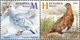 Belarus 2020 Fauna Seasonal Variations Hare Weasel Partridge Bird Birds Mammals 6v MNH - Bielorrusia