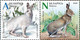 Belarus 2020 Fauna Seasonal Variations Hare Weasel Partridge Bird Birds Mammals 6v MNH - Bielorrusia