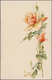 Ansichtskarten: Künstler / Artists: KLEIN, Catharina (1861 - 1929), Deutsche Rosen- Und Blumenmaleri - Non Classés