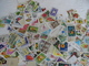 Gros Lot, Vrac 620 Gr De Milliers De Timbres  Thématique Fleurs, Fruits, Agrumes, Plantes..Multiples Tous Pays - B/TB - - Lots & Kiloware (min. 1000 Stück)