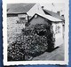 Lieu à Identifier 4 Photographies Fête En Bretagne Hôtel De France Jeune Fille En Bretonne Vélos Décorés Fleurs - Places