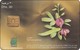 UAE Chip Phonecard Blumen Flower Tephrosia - Verenigde Arabische Emiraten