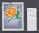 103K643 / 1968 - Michel Nr. 526 Used ( O ) Rose  Rosen Rosier - Rosa SP. Hong Canh Sap , North Vietnam Viet Nam - Vietnam