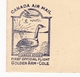 Golden Arm Ontario 1936 First Official Flight Golden Arm Cole Canada Air Mail Goose Oie - Luftpost