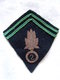 INSIGNE ECUSSON LOSANGE 2 REI LEGION ETRANGERE ARMEE LIBERATION INDOCHINE ?? A VOIR ?? - Patches