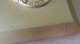 Importante Plaque En Bronze Doré Avec Médaille Du Comité Provençal Des Sports - Poids : 621g - FIA LYON - Professionals / Firms