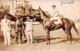 EGYPTE- ALEXANDRIE- Champ De Courses Propriétaires Cheval "JULIE" Et Son Jockey. Carte Photo Zachary's Press Agency - Horse Show