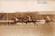 EGYPTE- ALEXANDRIE-Champ De Courses L'Arrivée Au Poteau De FAFNIR - Carte Photo 1934 - Horse Show