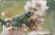 Cypern Chip Phonecard Green Frog Frosch - Aviones